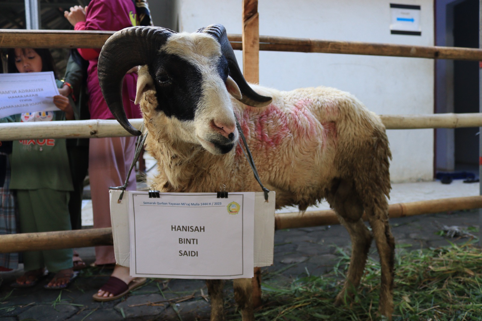 Idul Adha 1444 H di Yayasan Miraj Mulia