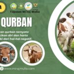 Memperingati Idul Adha 1445 H Bersama Yayasan Miraj Mulia